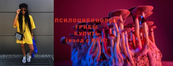твердый Балахна