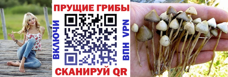 Галлюциногенные грибы Magic Shrooms  OMG зеркало  Елизаветинская 